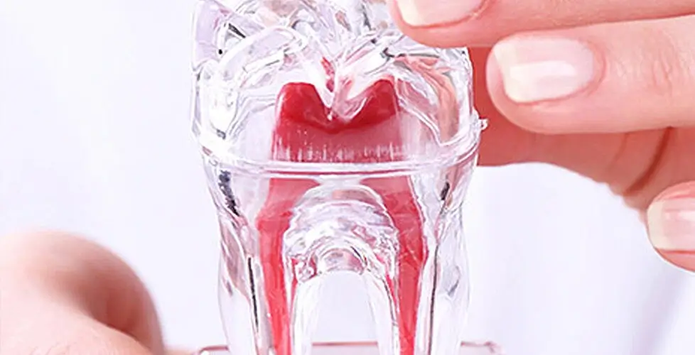 Curso Aperfeiçoamento em Endodontia